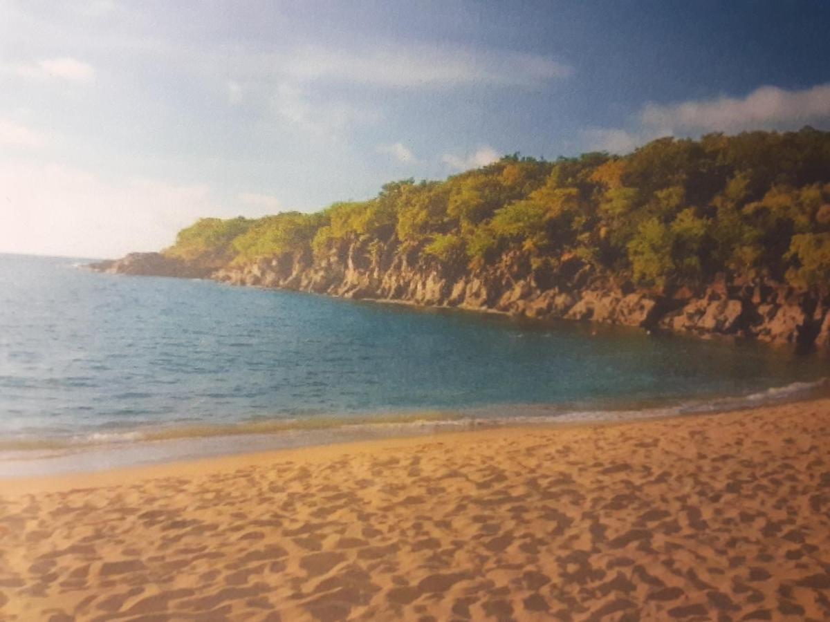 Residence Les Manguiers Πουάντ-Νουάρ Εξωτερικό φωτογραφία