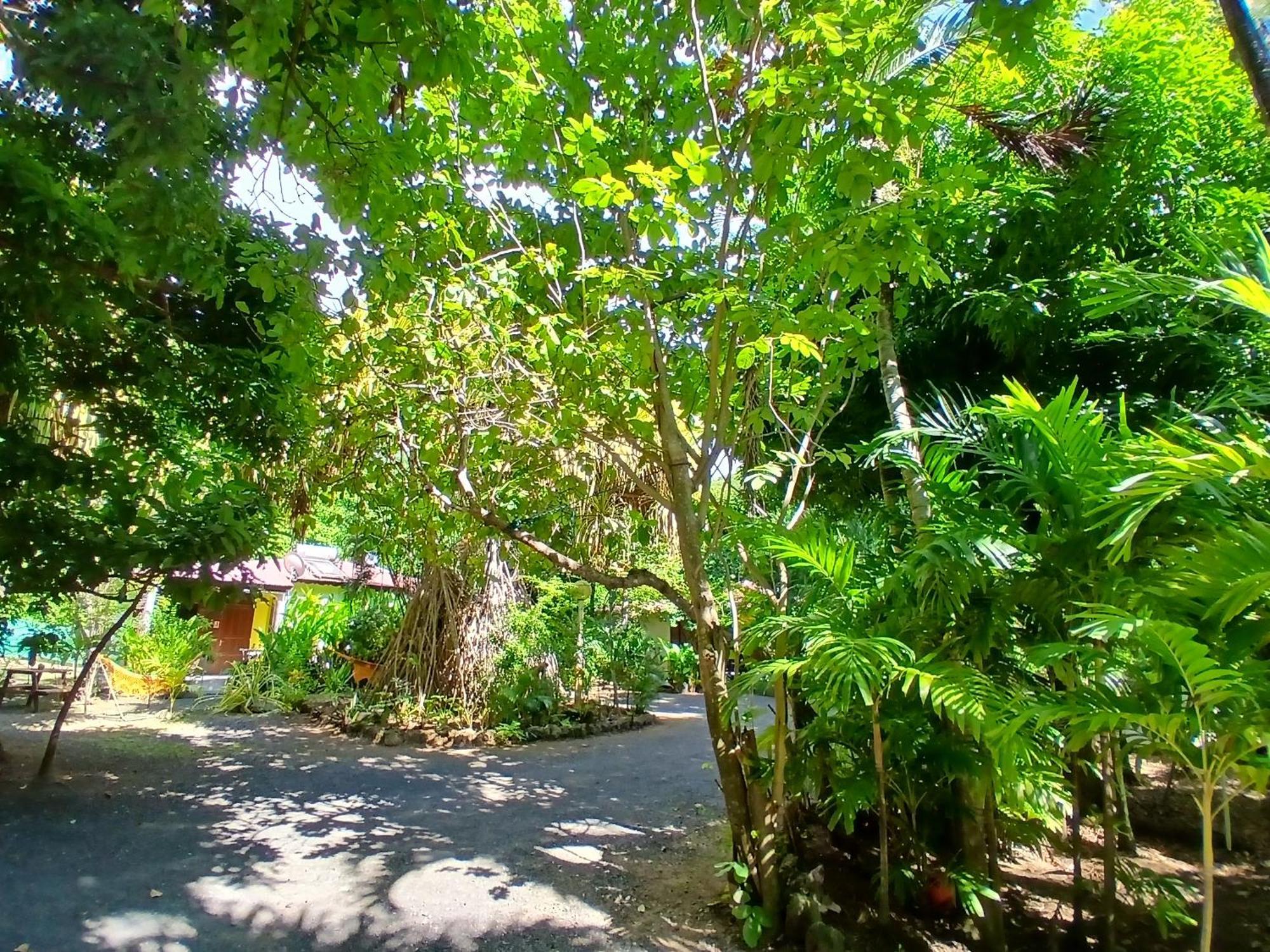 Residence Les Manguiers Πουάντ-Νουάρ Εξωτερικό φωτογραφία