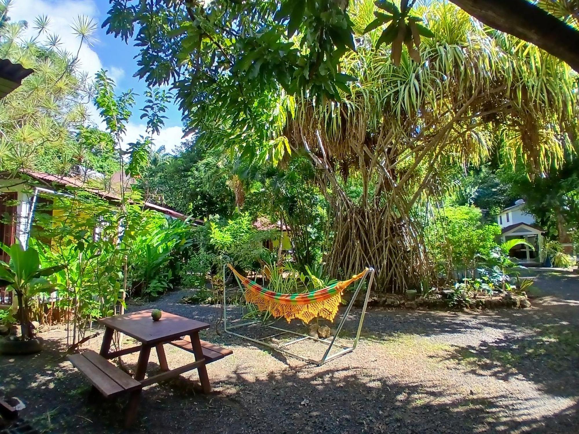 Residence Les Manguiers Πουάντ-Νουάρ Εξωτερικό φωτογραφία
