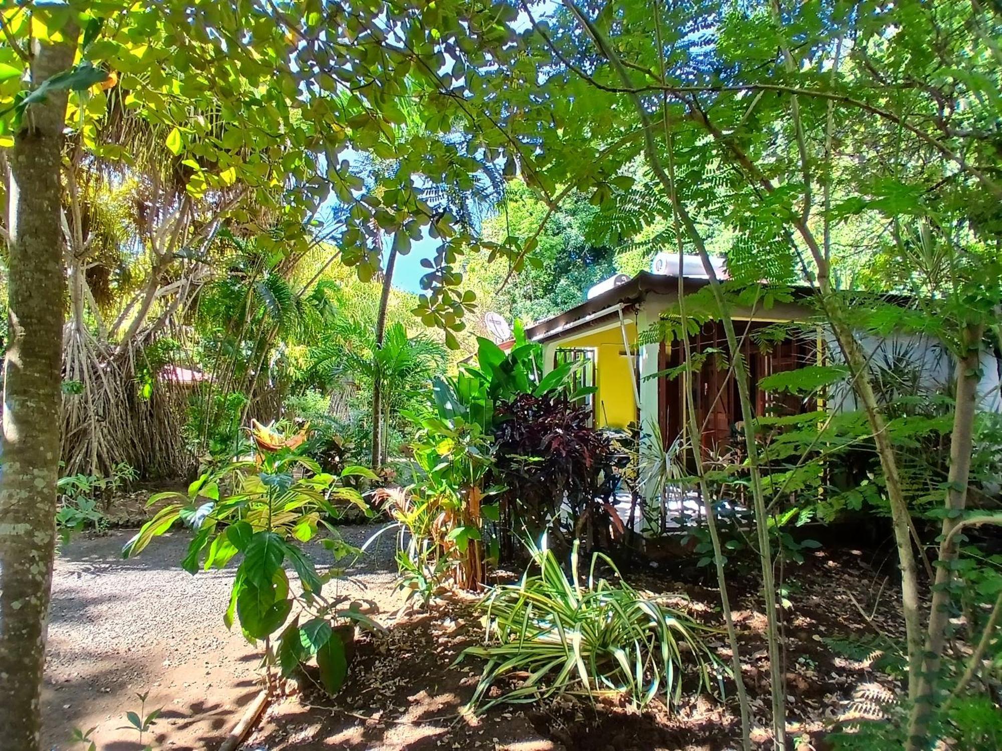 Residence Les Manguiers Πουάντ-Νουάρ Εξωτερικό φωτογραφία