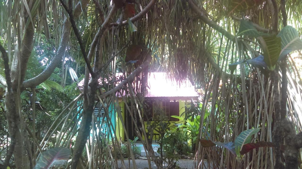 Residence Les Manguiers Πουάντ-Νουάρ Εξωτερικό φωτογραφία